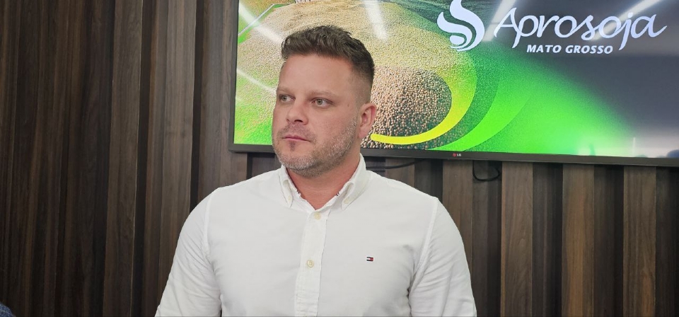 Excesso de chuvas danifica gros de soja e pode atrapalhar plantio do milho safrinha