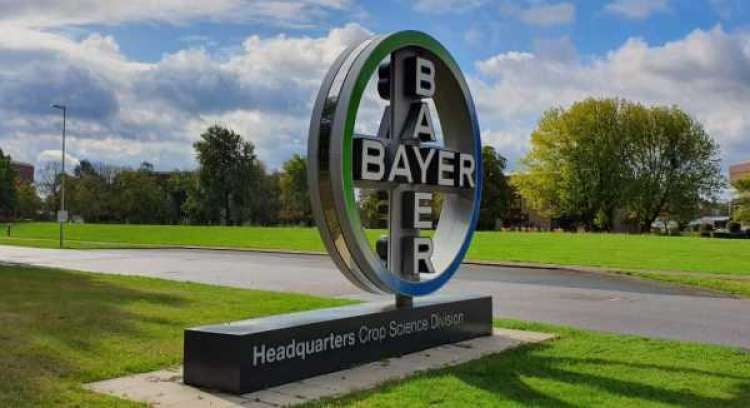 Deciso do TJ-MT determina que Bayer deposite em juzo R$ 1,3 bi em royalties de sementes