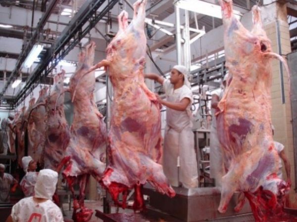 Abertura de mercado norte-americano pode beneficiar a cadeia produtiva de carne bovina de Mato Grosso