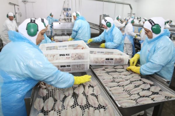 Cooperativa de abate de peixe ir proporcionar gerao de emprego e renda