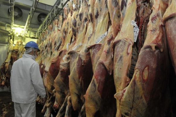 Machos equivalem a 71% dos bovinos enviados em Mato Grosso para às linhas de abate em outubro