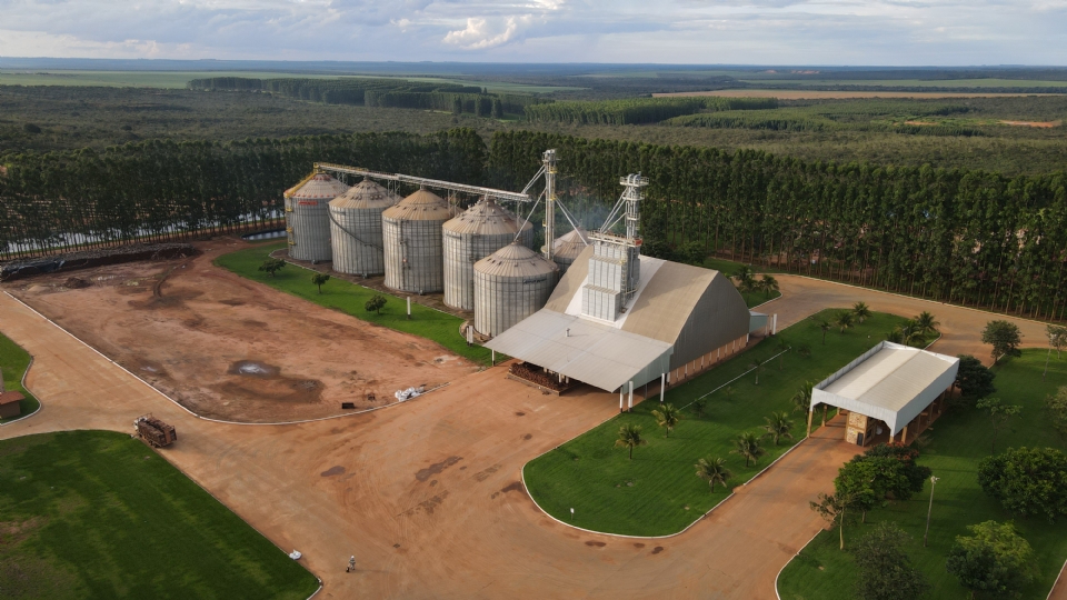 Falta de armazenagem limita renda e amplia custos no campo em Mato Grosso
