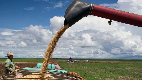 Presidente do Sicredi acredita em expanso do crdito agrcola via cooperativas