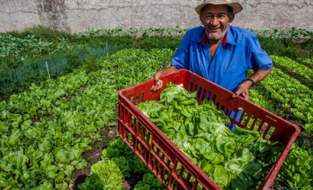 Nova lei beneficia pequenos produtores rurais de Santo Antnio de Leverger