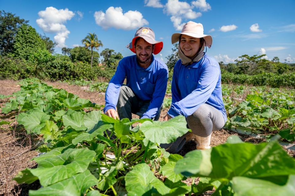 Governo de MT investe R$ 720 milhes na agricultura familiar
