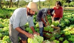 Governo descumpre Lei e corta mais de R$ 7 mi destinados a compra de produtos da agricultura familiar