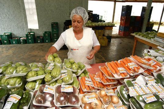 Governo realiza abertura de chamada pblica para compra de produto da agricultura familiar