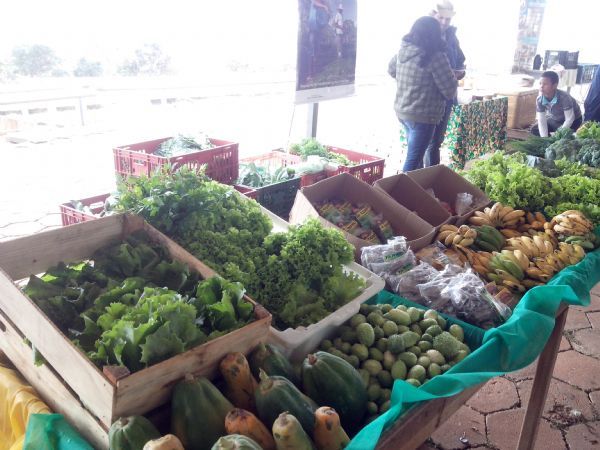 Exército vai investir R$ 287 mil na compra de alimentos da agricultura familiar em Mato Grosso