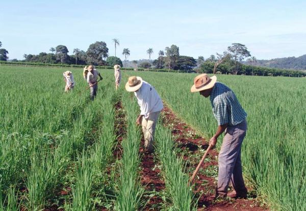 Senador de Mato Grosso defende melhor distribuio de recursos do Pronaf