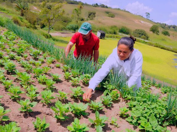 Sem cadastro rural, pequenos produtores perderam R$ 100 mi em crédito este ano