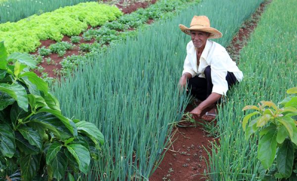 Pequenos agricultores de Vrzea Grande iro receber capacitao e apoio tcnico como incentivo