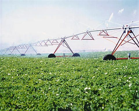 Produtores garantem: agricultura intensiva promove sustentabilidade