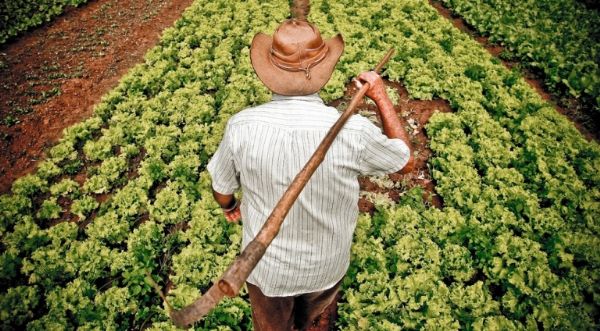 Mutiro Rural 2015 deve atender cerca de 9 mil pessoas no campo