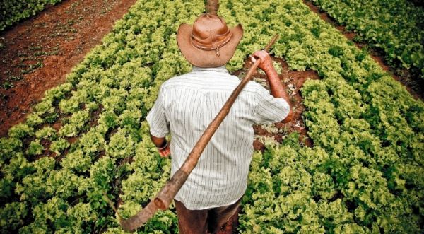 Agricultores familiares em Mato Grosso recebem ttulos de terra