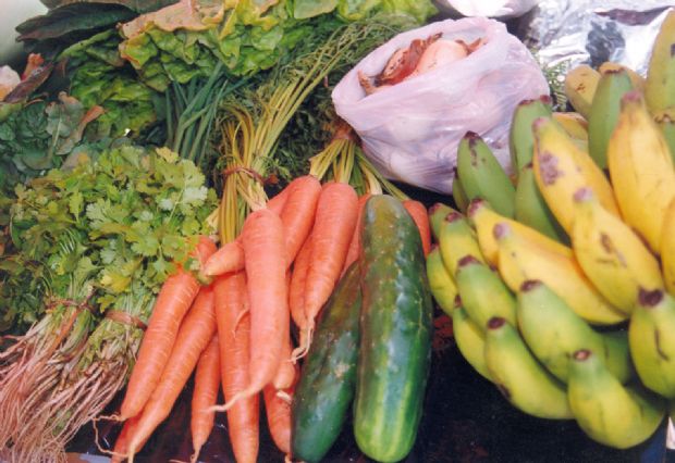 IFMT vai adquirir mais de 22 mil kg de alimentos da agricultura familiar; preferência é para produtores locais