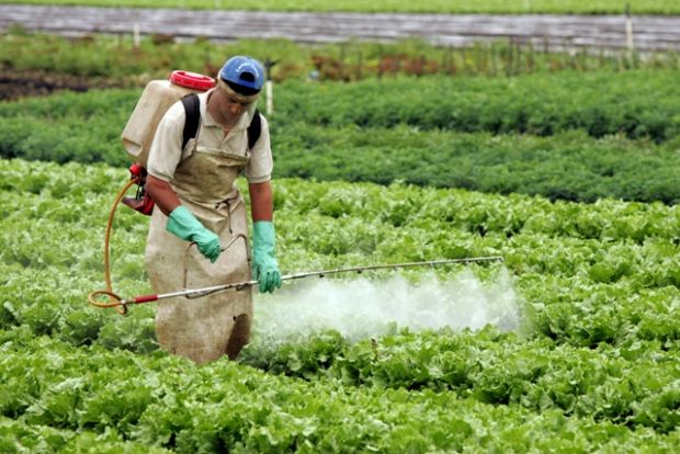 Combate a agrotxicos ganha reforo com Frum em MT; produtos esto associados a 45,9% de doenas