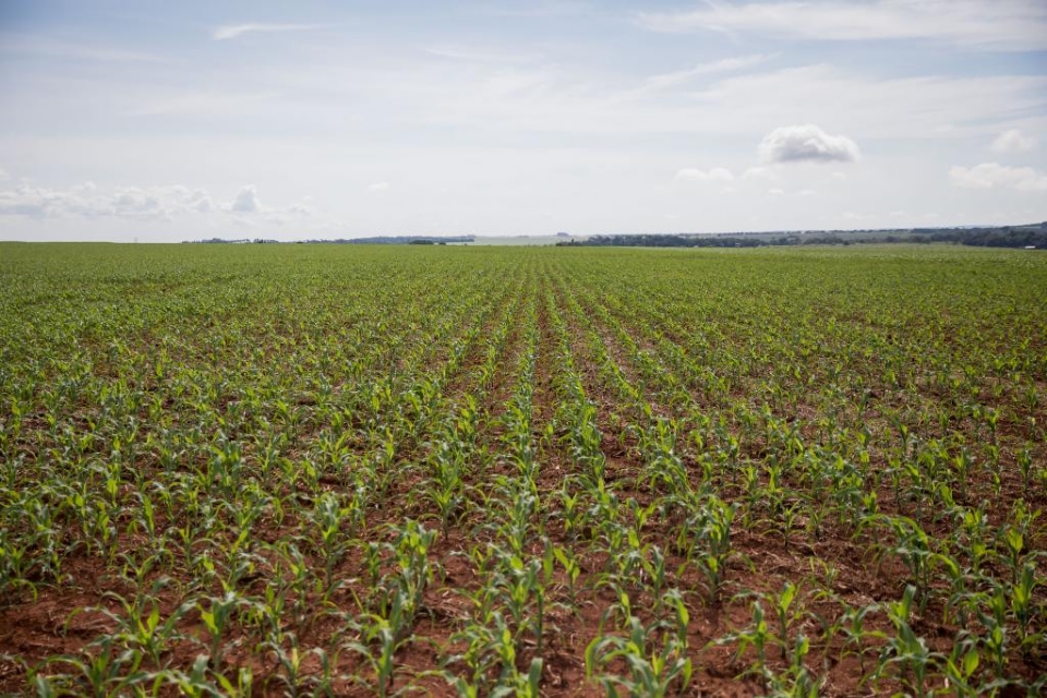 FCO oferta R$ 546,8 mi em linhas de crdito para empresrios e produtores rurais de MT