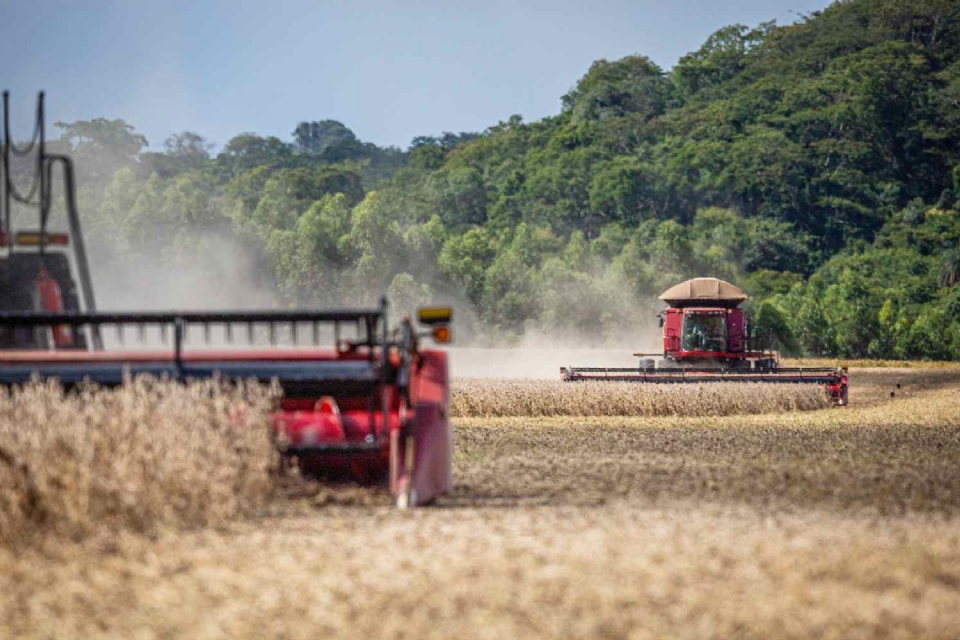 Mato Grosso tem 17 municpios na lista dos 100 maiores PIB per capita do Brasil