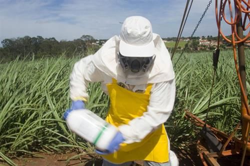 Cidades de MT recebem treinamento sobre boas prticas agrcolas de multinacional norte-americana