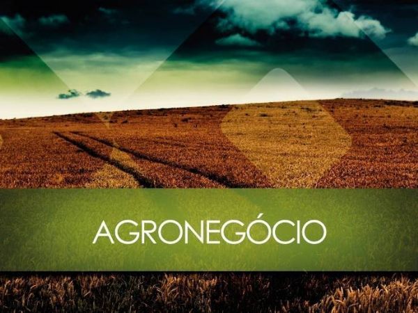 Aumento na rea plantada garantiu maior produo
