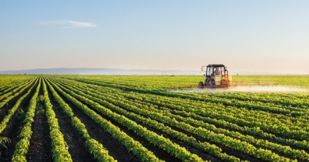 Especialistas alertam para riscos de agrotxicos em MT; 26 usados no Brasil so proibidos na Europa