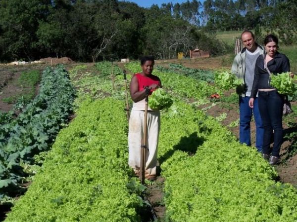 MDS e Conab adquirem excedente da produ��o familiar de quilombolas