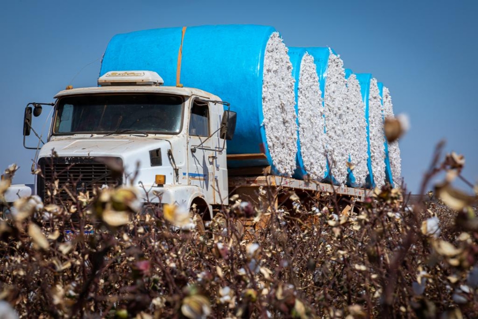 MT lidera a balan�a comercial brasileira com US$ 27,49 bilh�es; 40,25% de participa��o no saldo nacional