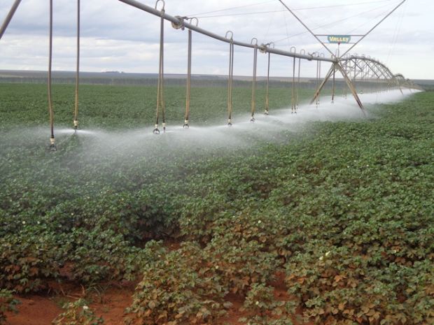 Produtores de Mato Grosso tm 90 dias para fazer adequaes no novo sistema de CAR