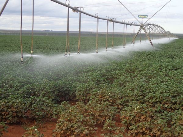 Cuiab ser sede do XVI Congresso Nacional de Irrigao e Drenagem em novembro