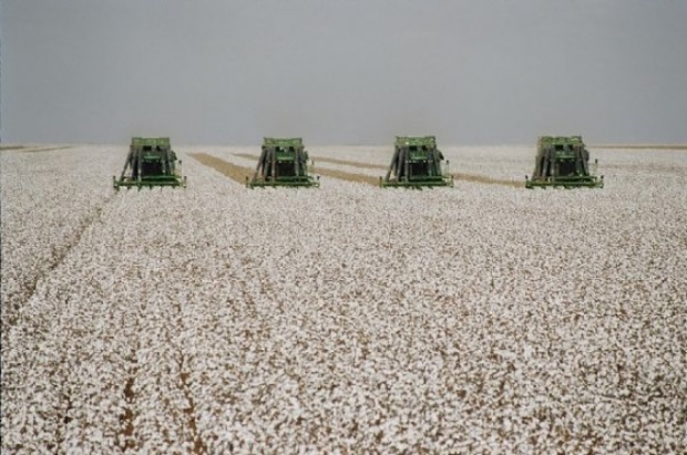 Pesquisas apontam crescimento em reas do agro durante e aps pandemia