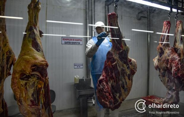 Treze frigoríficos suspenderam abates em Mato Grosso diante 