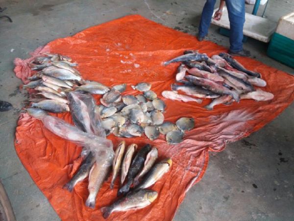 Quase R$ 300 mil so aplicados em multas por pesca ilegal em Mato Grosso
