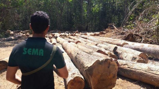 MP derruba lei da Assembleia e Mato Grosso garante R$ 5 milhes com taxao de madeira