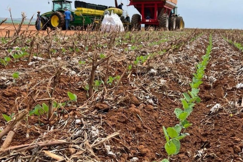 Urgente: Fofoca de novo garimpo apenas 08 KM de Colniza deixa os moradores  agitados. - Pantanal Online