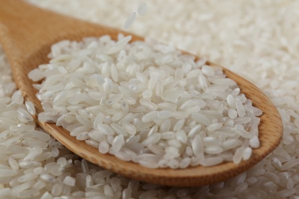 Safra de arroz teve rendimento de 60% de gros inteiros em Mato Grosso