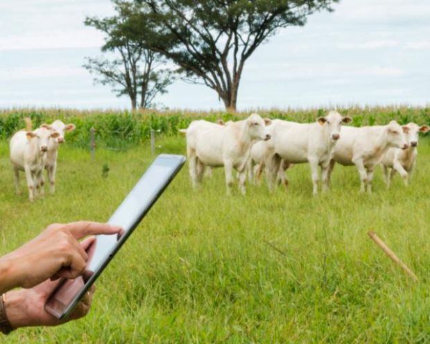 Controle de equipamentos, safra e insumos ao alcance do toque: automao no campo otimiza custos em 40%