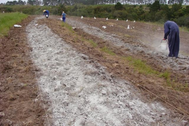 Especialista realiza palestra sobre tcnica para agricultores diminurem custo com fertilizantes