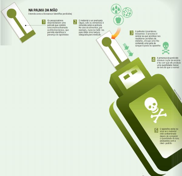 Biossensor capaz de detectar agrotxicos em alimentos  criado em mestrado da UFMT