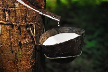 Mato Grosso negocia pouco mais de 500 toneladas de borracha em leilo do Pepro