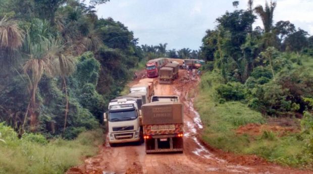 Soja de Mato Grosso comea a brotar em atoleiros na BR-163 no Par; DNIT promete asfaltar trecho crtico em 2017