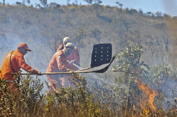 Brigadas de incndio combatem queimadas no Cerrado