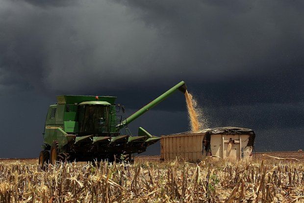 Chuva j causa prejuzos e deve se estender por mais quatro dias nas lavouras de MT, alerta Climatempo