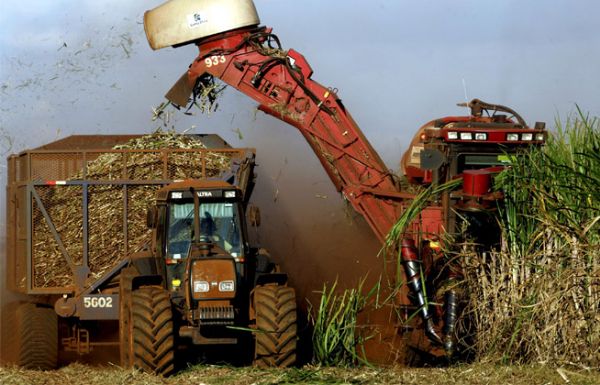 Produo de cana de acar em Mato Grosso equivale a 2,66% da nacional