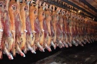 Exportaes de carne bovina em fevereiro crescem  29%, diz Secex