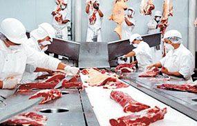 MT aumenta participao nacional no abate de bovinos