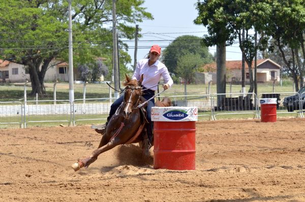 Mato Grosso ser palco do 25 Festival de Cavalo rabe