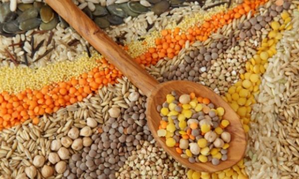 Cereais representam 3,69% da produo de gros de Mato Grosso