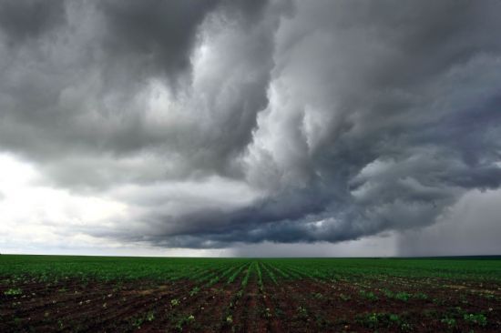 Chuva em reta final de plantio pode ser benfica  produtividade de soja
