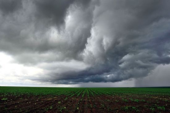 Semana dever ser de chuva em Mato Grosso; Soja entra na reta final e algodo comea