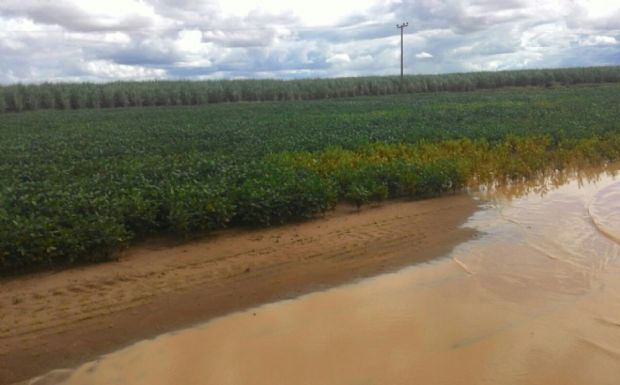 Chuva deixa em xeque produo recorde de 30,4 mi/t de soja em Mato Grosso